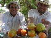 nicaragua farming