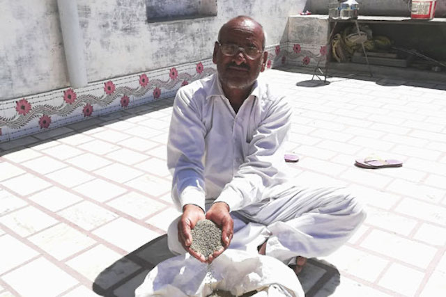 Bhawarlal Sharma is a guar farmer in Rajasthan state, India
