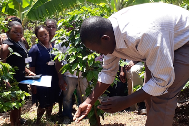 Dominic Ogut is TechnoServe's Africa regional agronomy advisor