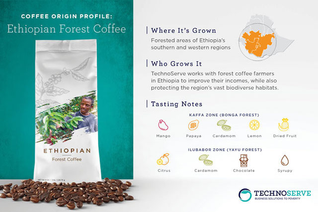 Coffee infographic
