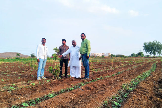 Maganlal stands in a field with his three neighbors