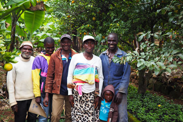 A group of coffee farmers in Zimbabwe's Honde Valley