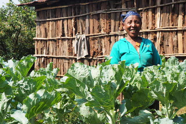 A woman farmer in Ethiopia