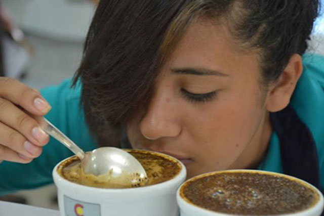 Coffee cupper in Honduras