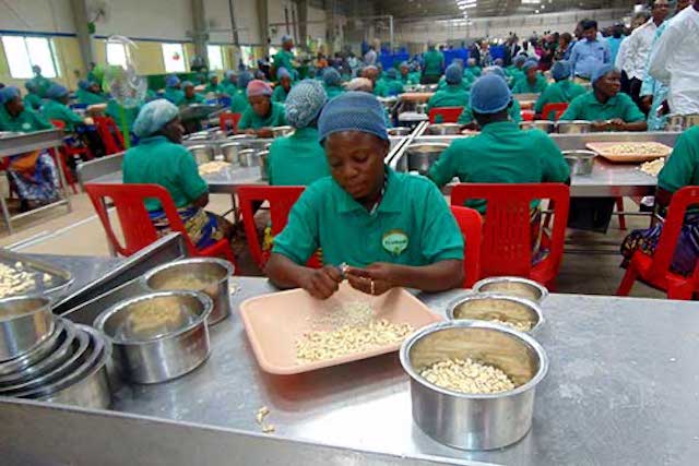 Benin cashew factory Fludor