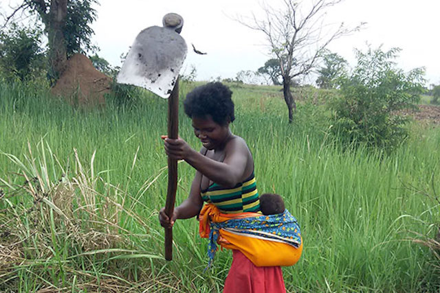 Lead farmer for GADC tilling soil in northern Uganda