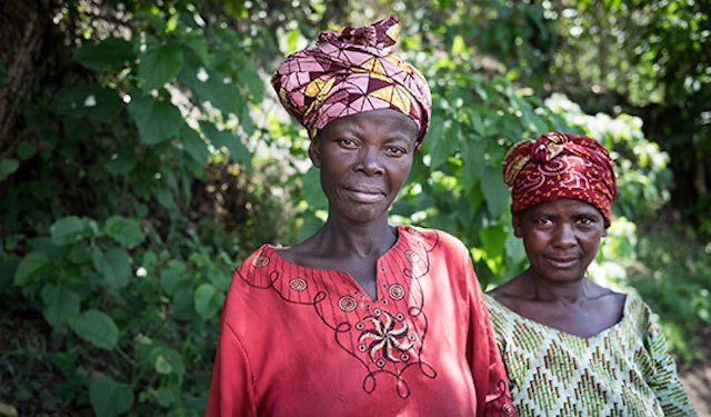 Women coffee farmers in DRC