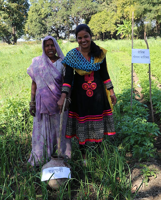 Preparing organic fertilizer in Madhya Pradesh