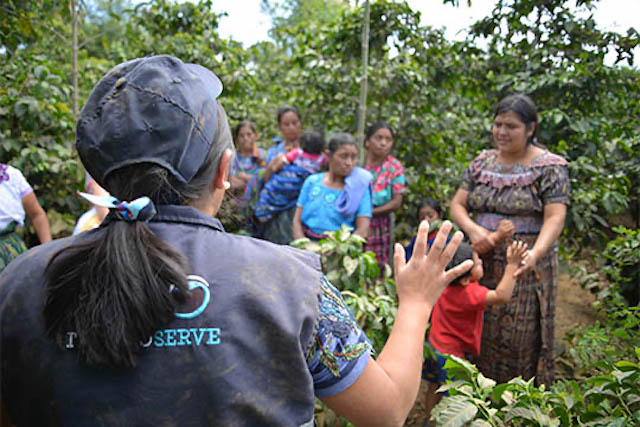 Coffee farmers in Guatemala