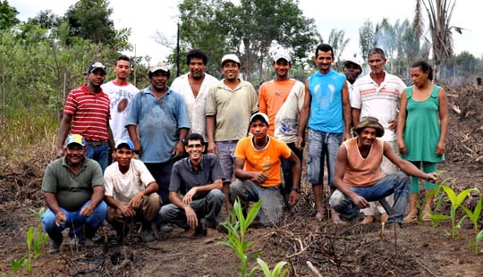 Brazilian farmers planting palm trees in Bahia