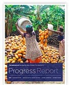 Progress report 2012