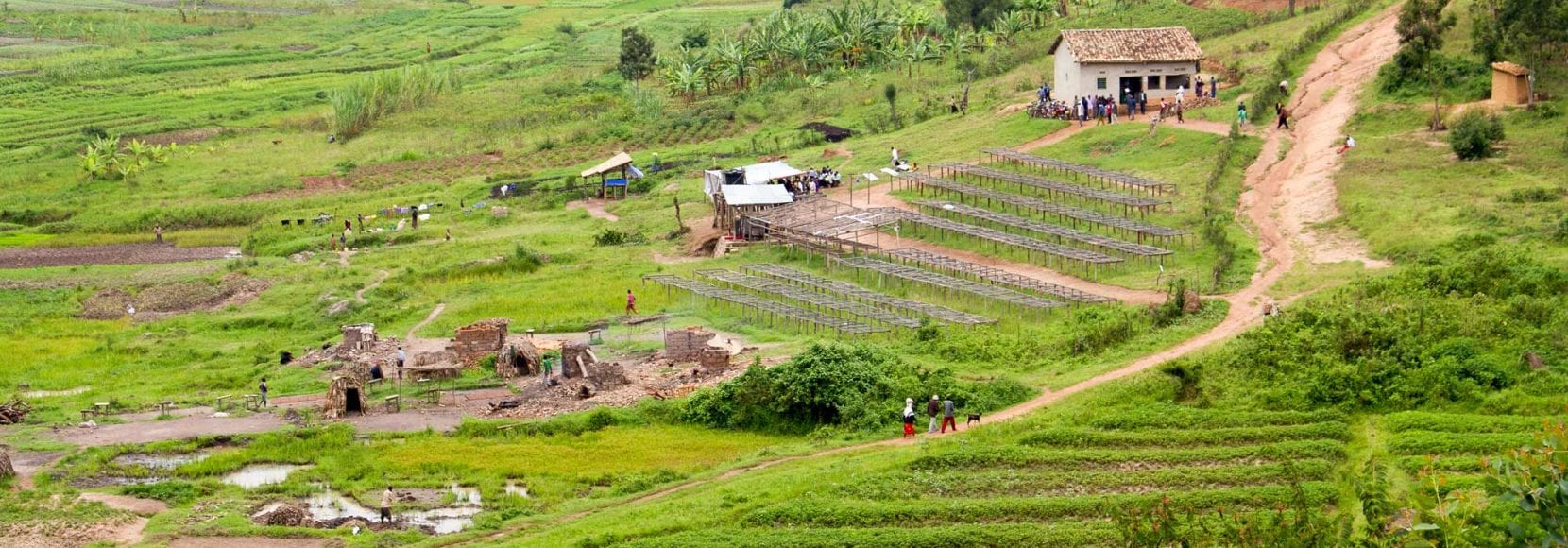 Rwanda farm