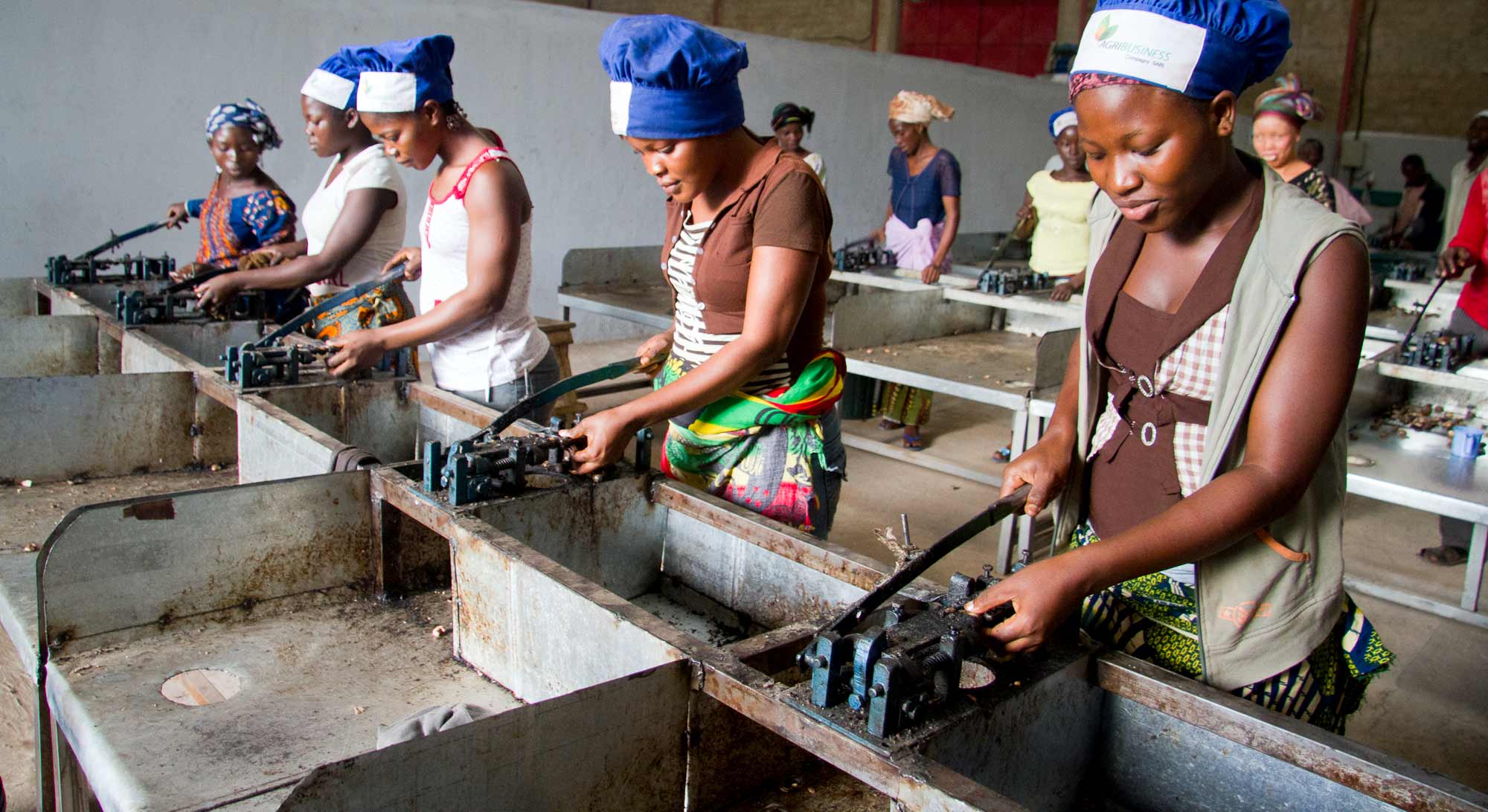 Supporting The Cashew Sector Technoserve