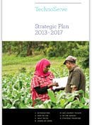 Strategic plans 2013-2017