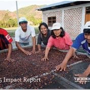 Group of farmers working to dry coffee beans