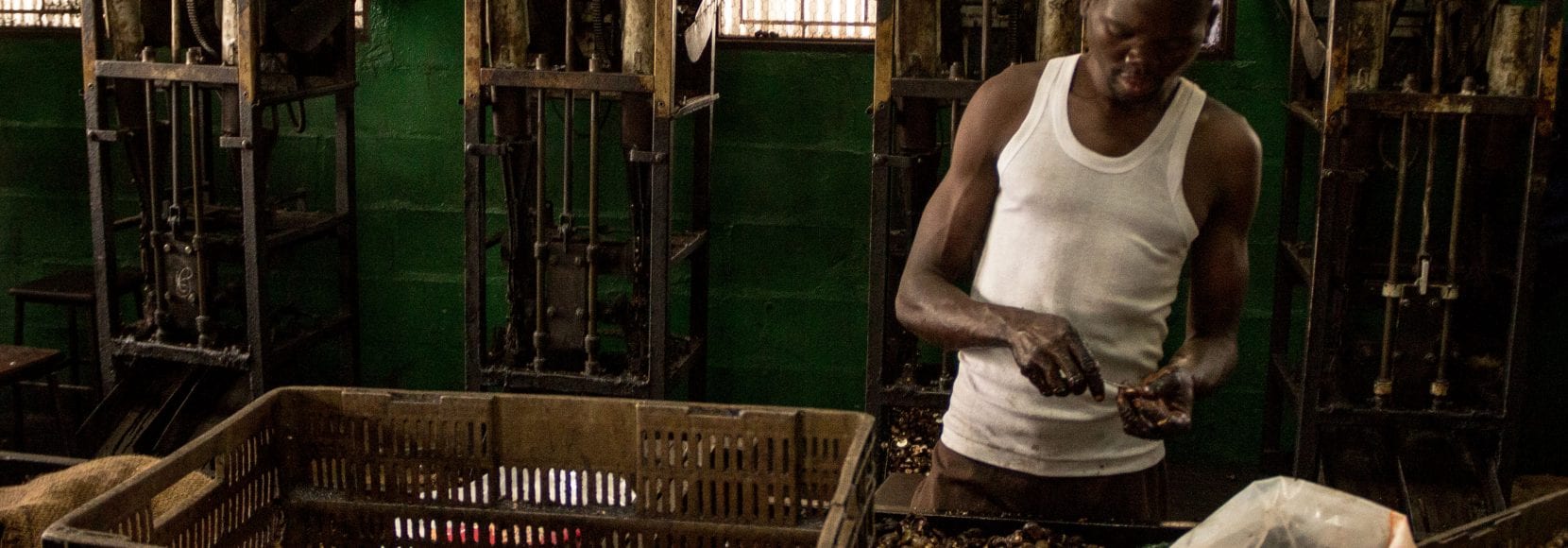 Worker hand processing cashews at Mozacaju facility