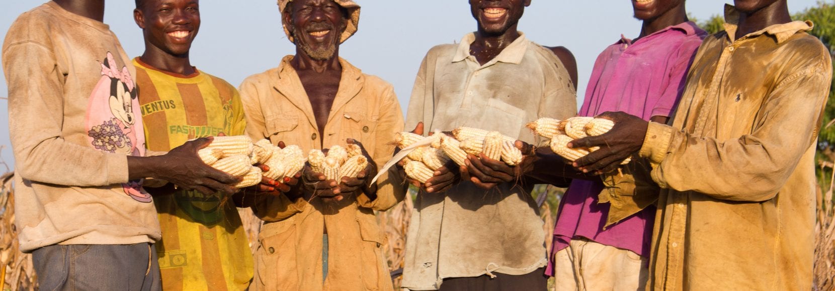 Group of farmers smiling holding corn crops
