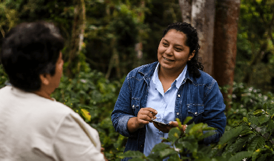 Olga Velasques aiding the Better Coffee Harvest Program in Central America 
