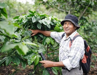 Joint Forces Sustainable Coffee Project - TechnoServe