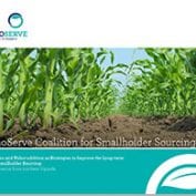 TechnoServe Coalition for smallholder sourcing