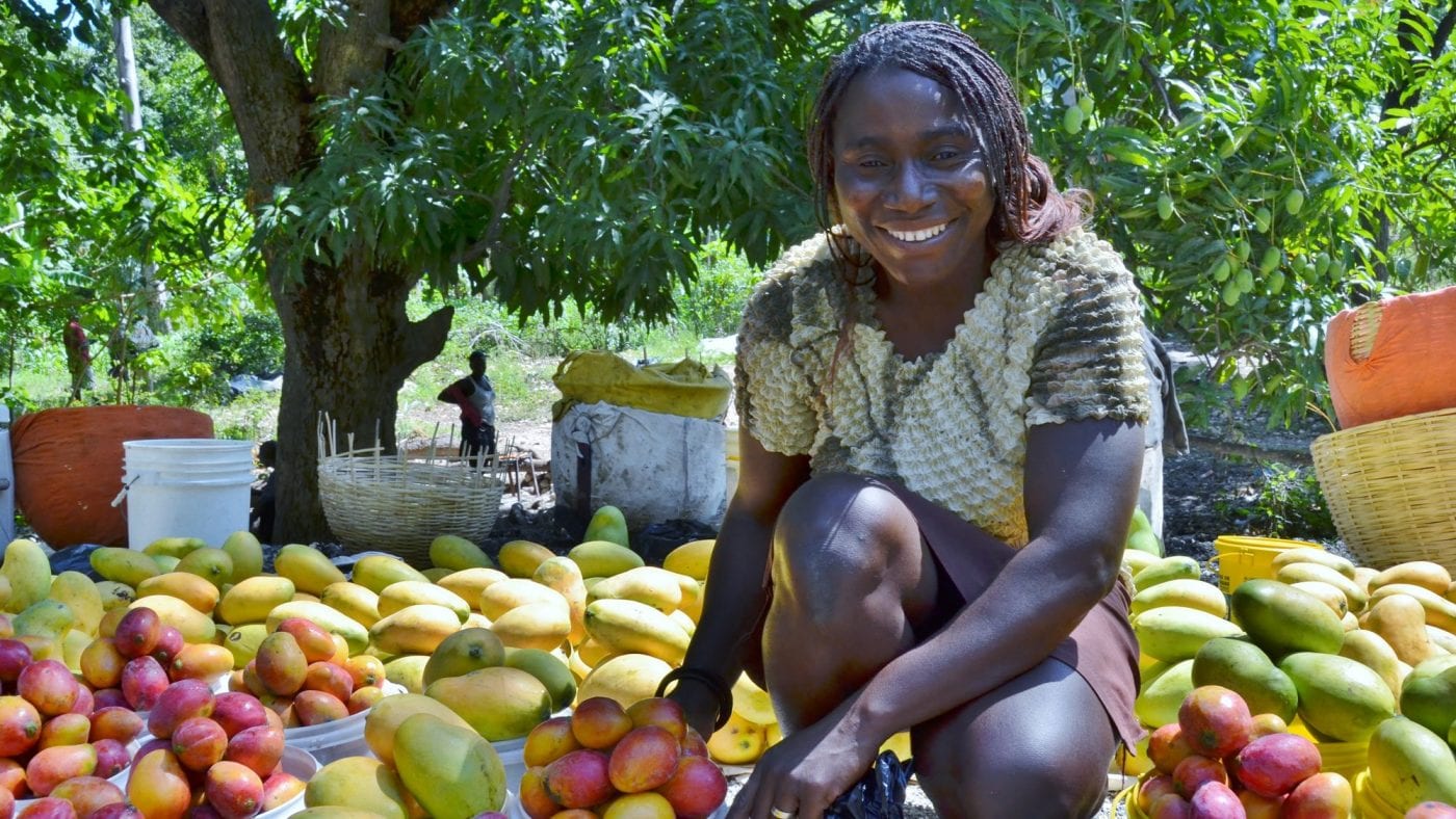 Corporate Sustainability Webpage Video Image Still: Smallholder farmers like this woman mango farmer and participant in The Haiti Hope Project are the primary demographic of TechnoServe's clients