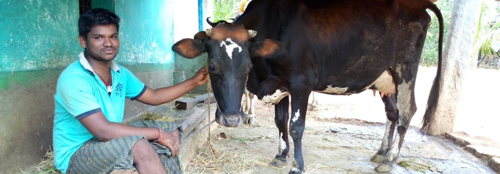 Youth economic opportunity is a benefit seen by countless TechnoServe program participants like Suresha from the Cargill Agri-Fellows program in India with his newly purchased cow