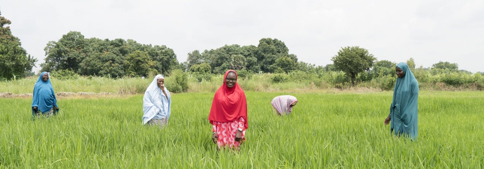 Group of women in a field in Nigeria