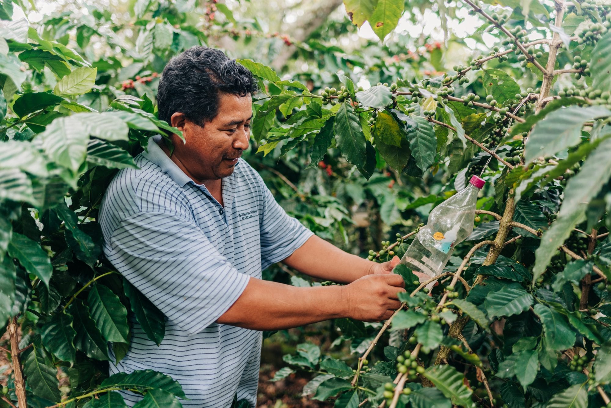 A coffee farmer in Honduras