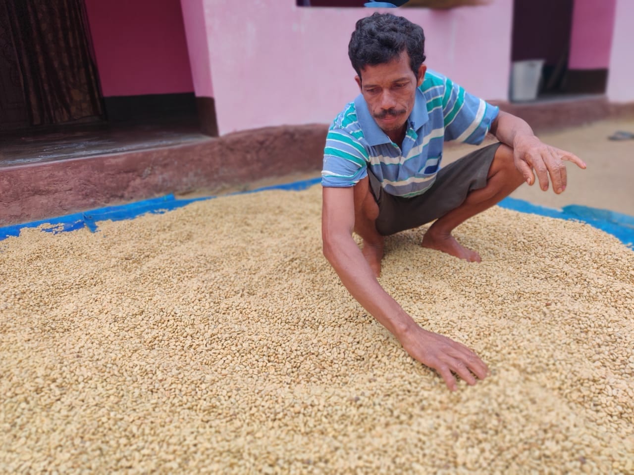 Palika Raju is a coffee farmer in Andhra Pradesh, India