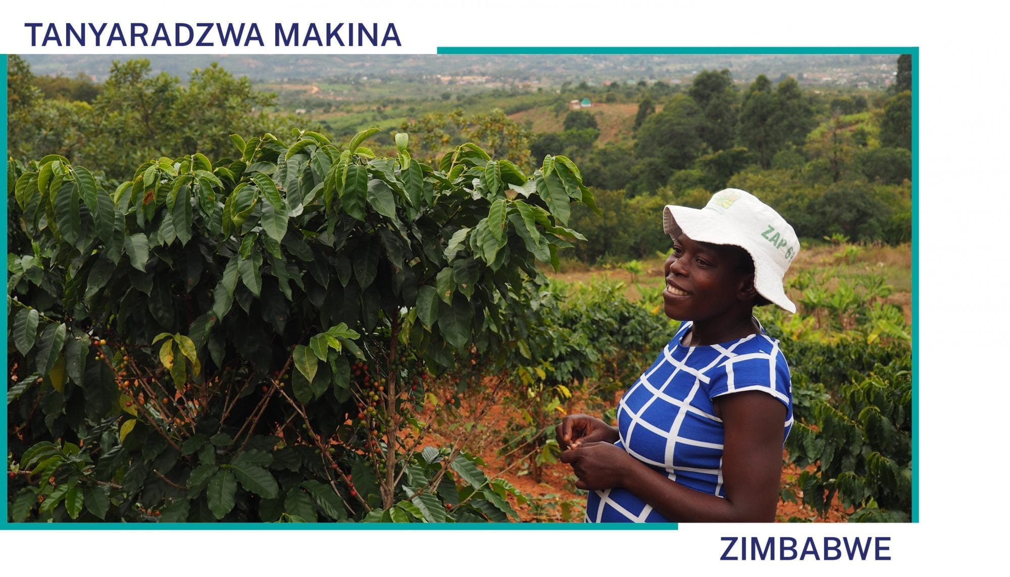 Tanyaradzwa Makina stands on her coffee farm in Zimbabwe