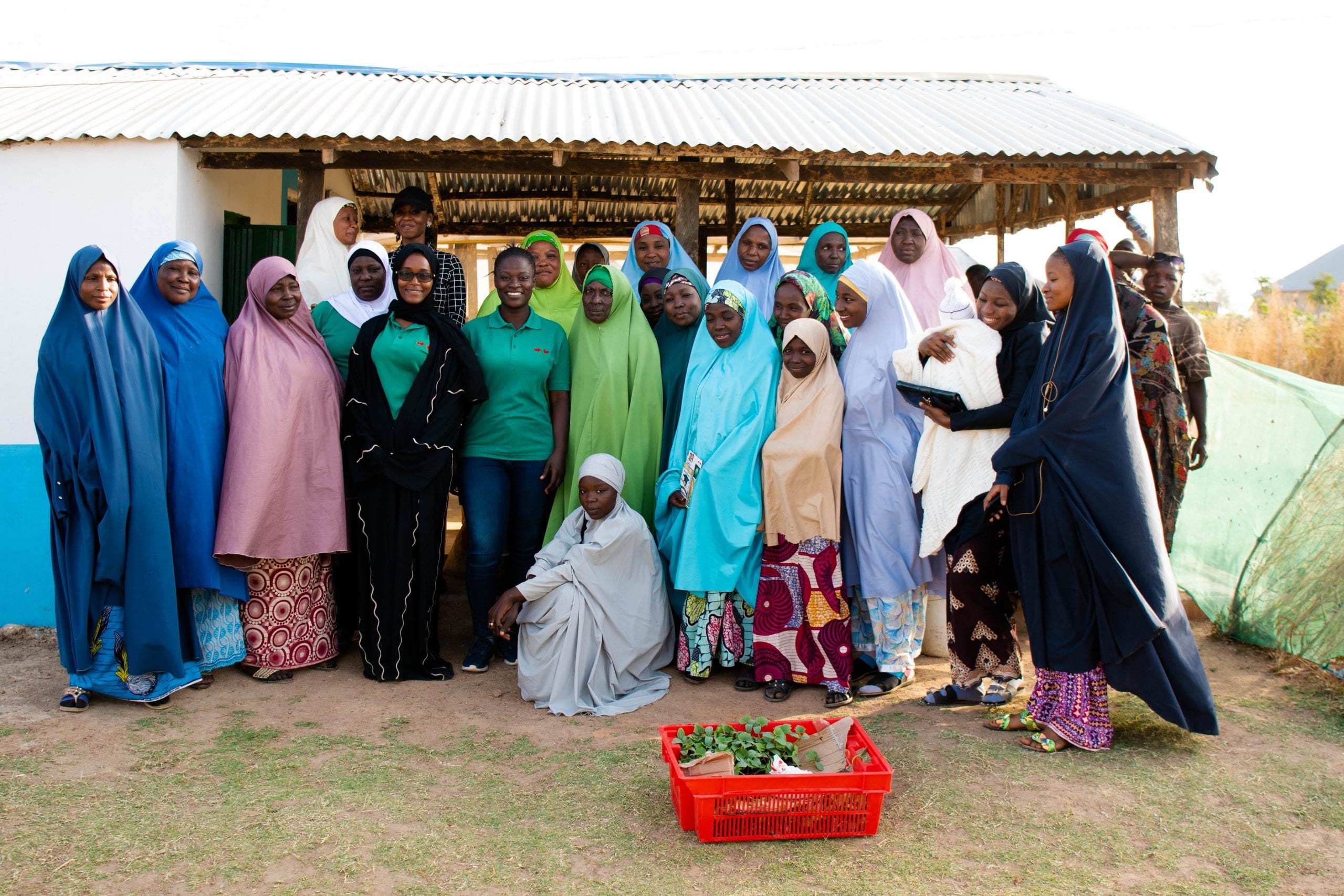 Women cottage tomato processors gather in northwest Nigeria