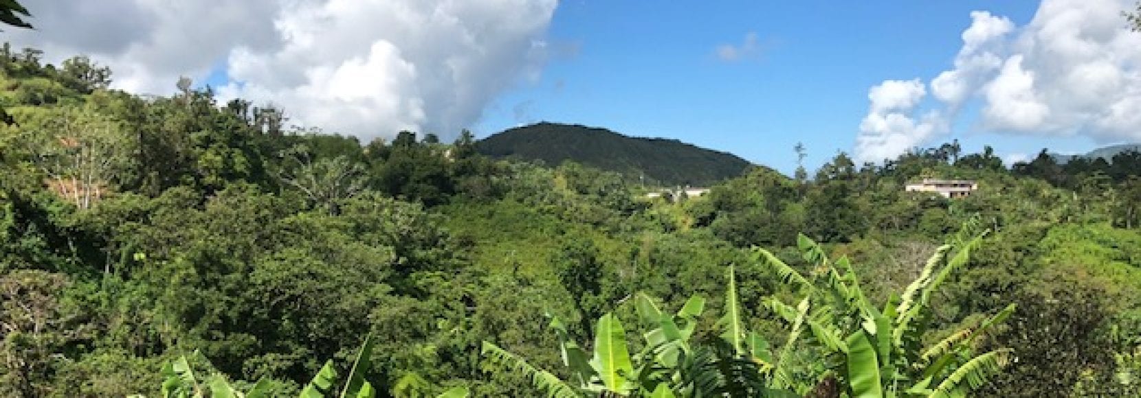 A landscape in Puerto Rico