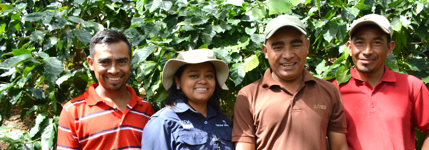 Coffee farmers and a TechnoServe trainer in Honduras