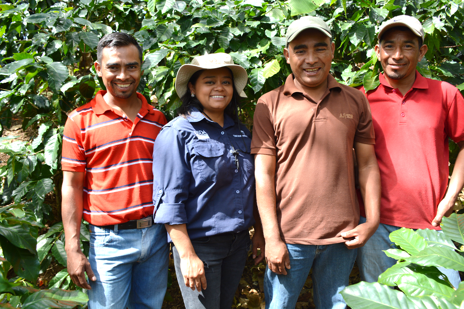 Coffee farmers and a TechnoServe trainer in Honduras