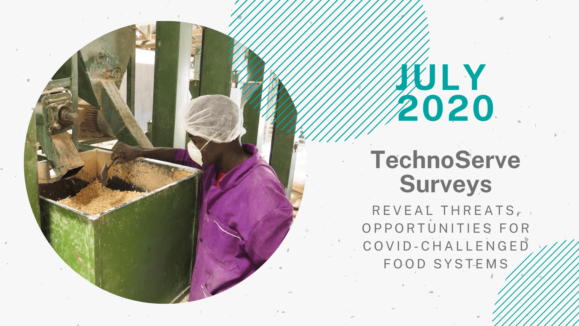Image for the “July” achievement featured in TechnoServe’s Year in Review 2020 blog. A circular picture on the left side, a woman wearing a PPE mask for COVID-19 protection, a hair net, and a purple shirt is working at a cashew processing facility. The right half of the graphic reads “July 2020: TechnoServe Surveys Reveal Threats, Opportunities for COVID-Challenged Food Systems.”