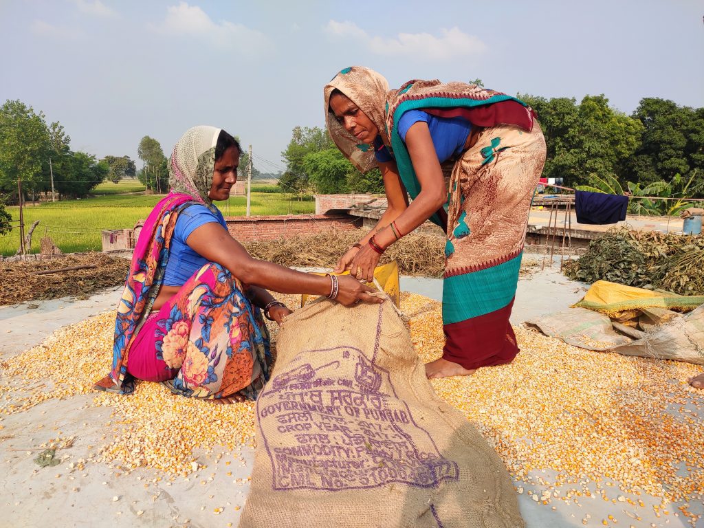 How can charitable giving fight poverty? Page hero image -Maize procurement in Uttar Pradesh, India
