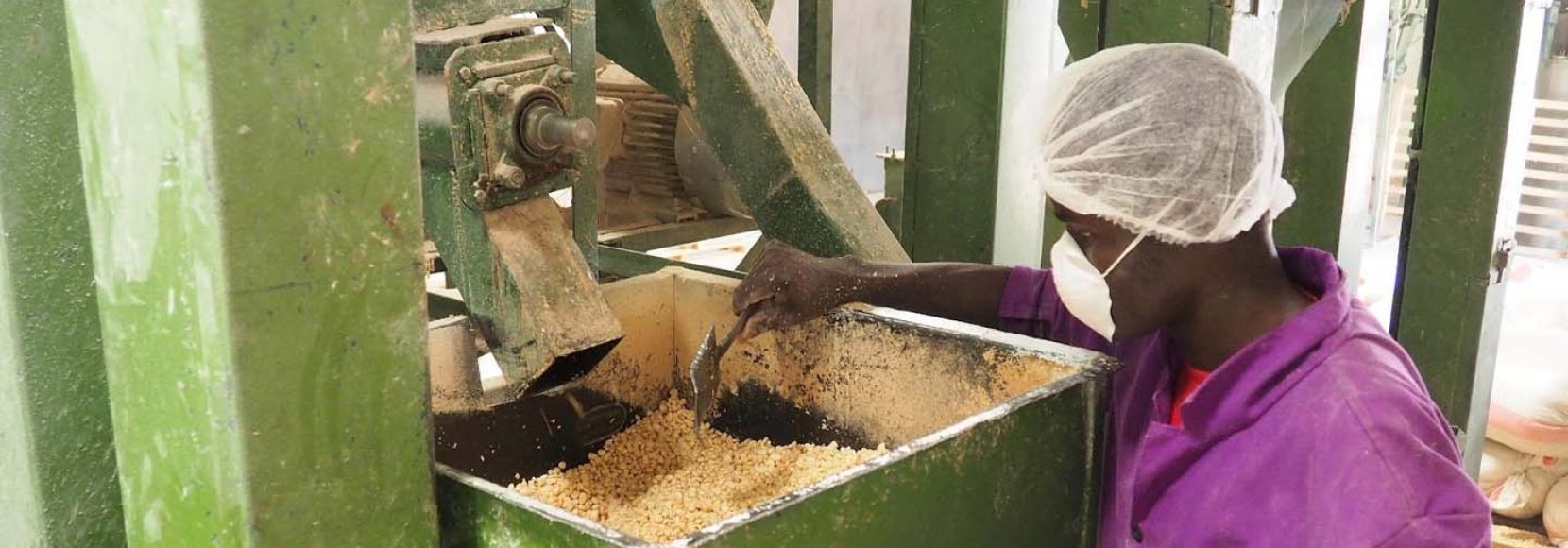 Photo of a food processor helping fight food insecurity in the developing world.