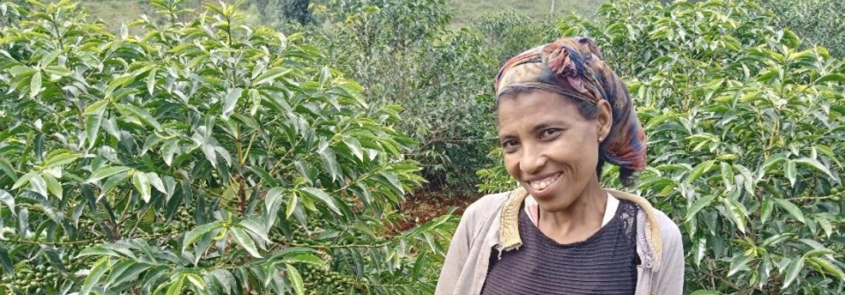 promoting gender equality in the coffee industry means empowering women farmers and small agribusiness owners