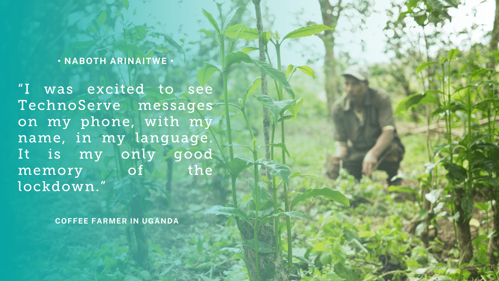Teal quote graphic reads: “I was excited to see TechnoServe messages on my phone, with my name, in my language. It is my only good memory of the lockdown.” -Naboth Arinaitwe, coffee farmer, Uganda
