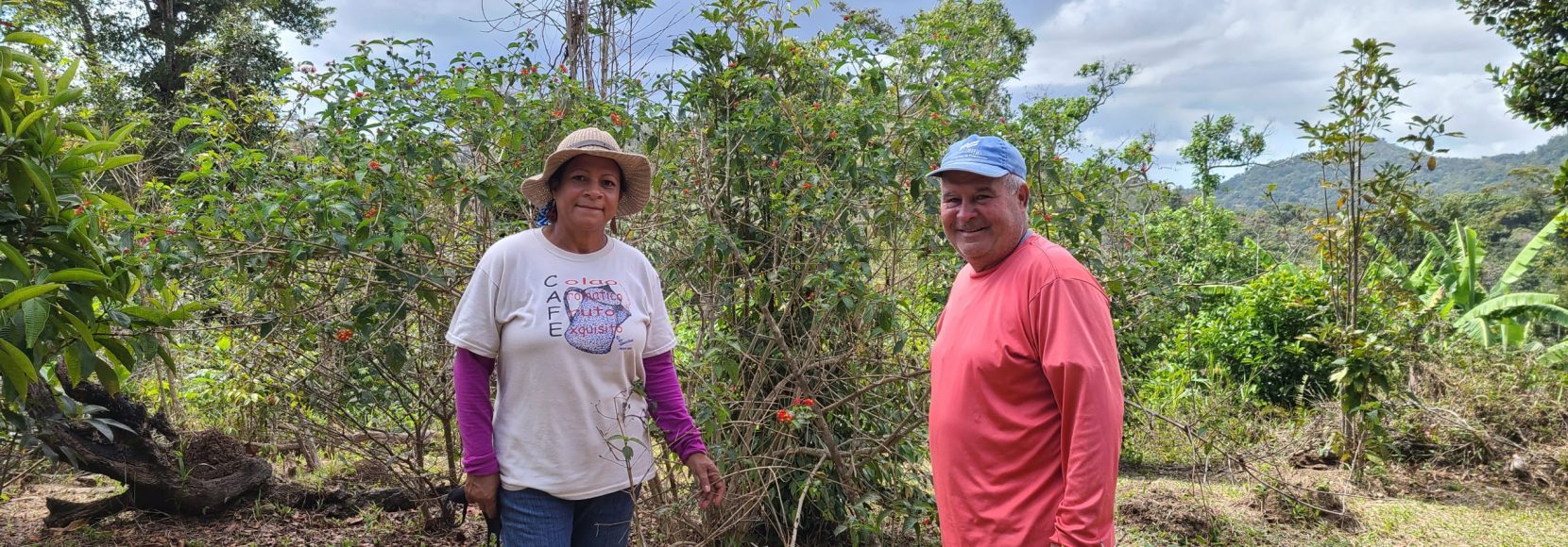 Elisa and Javier are Puerto Rican coffee farmers who participated in a TechnoServe program.