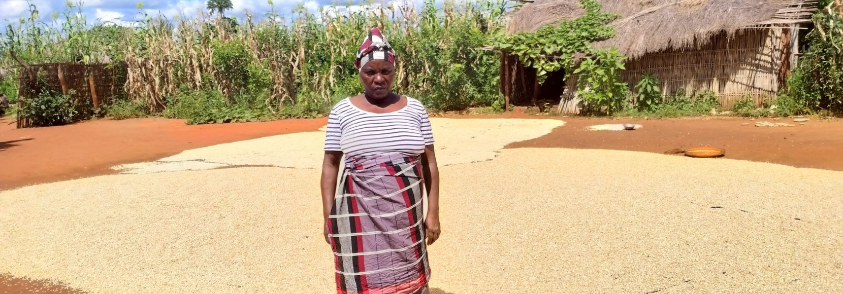 Jacinta Fernando is one of many farmers in northern Mozambique dealing with multiple crises at once. In this photo, she stands in front of her soy harvest.