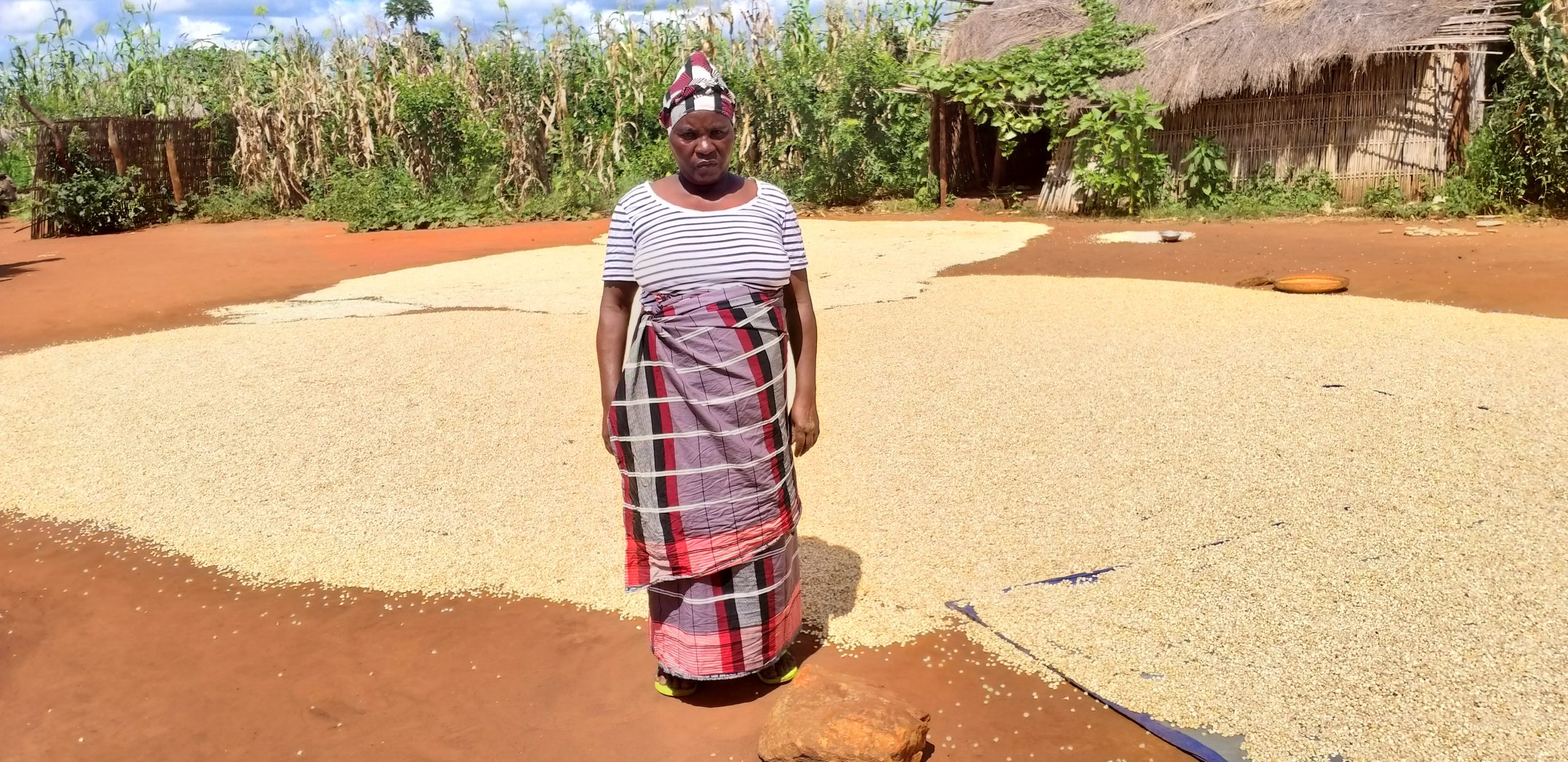 Jacinta Fernando is one of many farmers in northern Mozambique dealing with multiple crises at once. In this photo, she stands in front of her soy harvest.