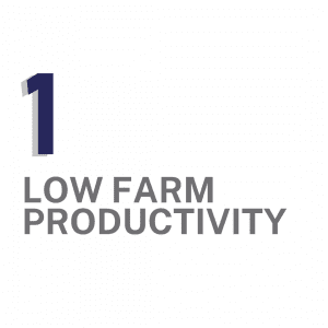 food security factors farmers face 1: low farm productivity
