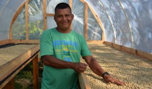Faustino Escobar, a local farmer, examines his coffee as it dries in Subirana, Honduras