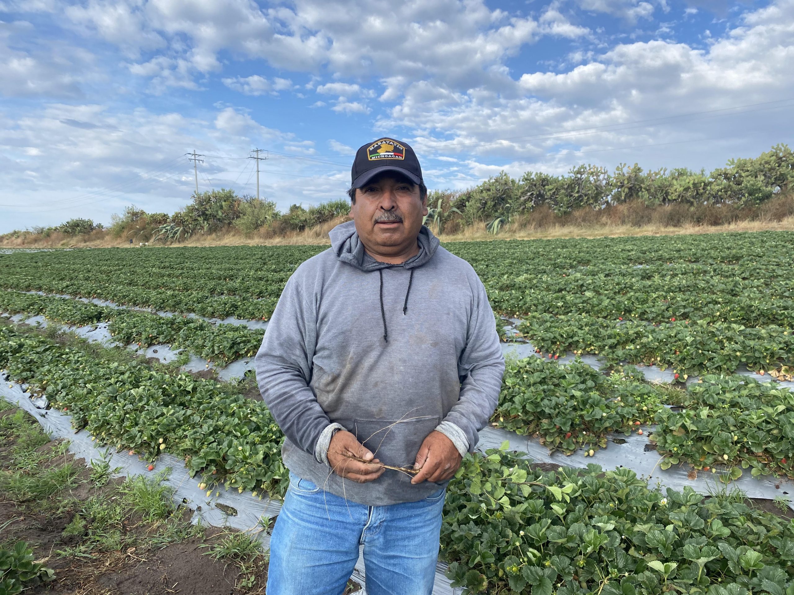 Better farming techniques improve income for José