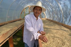A Pech farmer working in a coffee drying facility as learns ecologically sustainable techniques