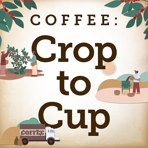 How Coffee Farmers in East Africa Bring Favorite Blends from Crop to Cup