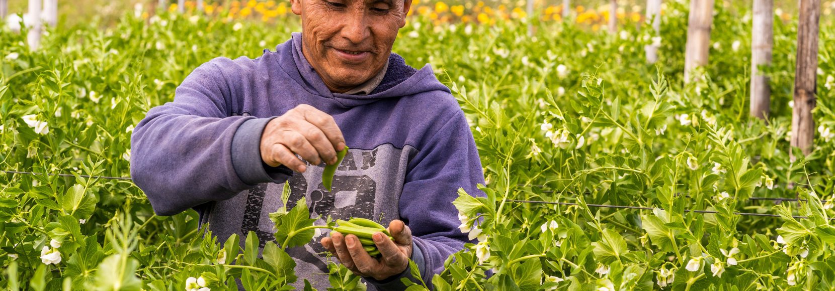 Climate change is impacting farmers in central america. Learn how in a new blog.