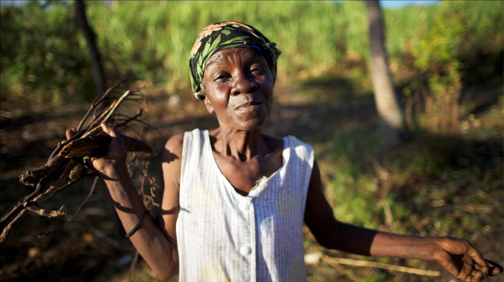 A farmer in working with TechnoServe in Haiti