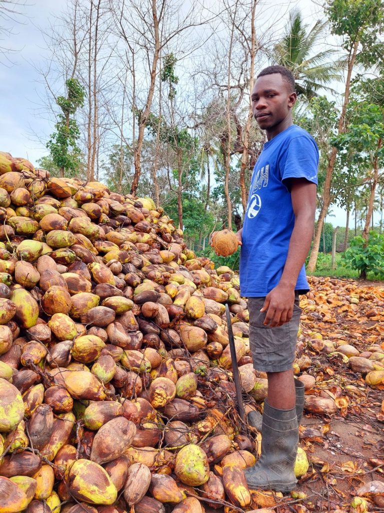 Kenyan-farmer-standing-in-front-of-coconut-husks-for-biochar